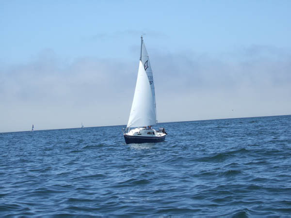judy112