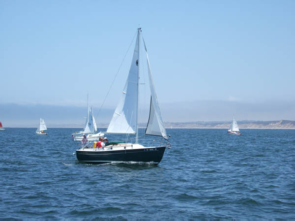 judy144