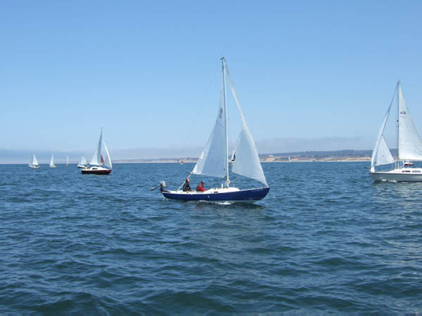 judy157