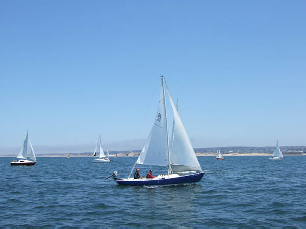 judy158