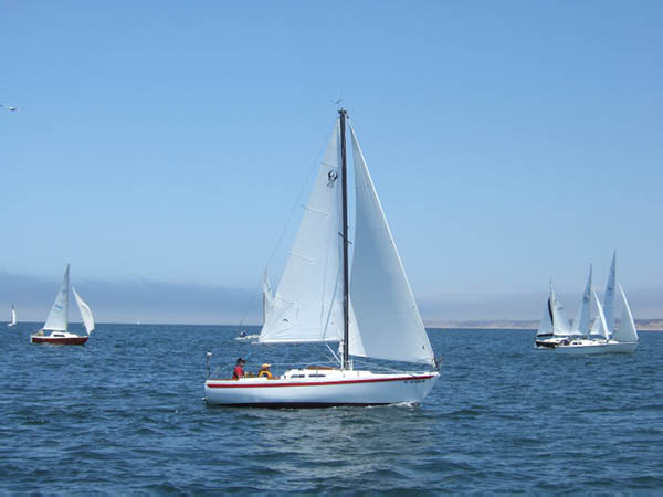 judy166