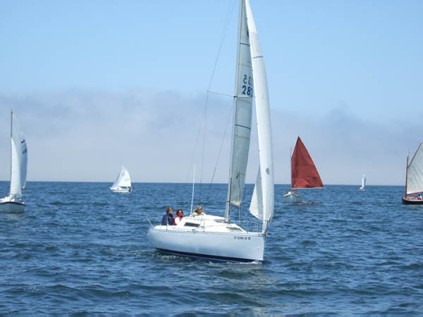judy167