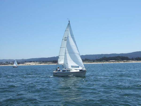 judy175