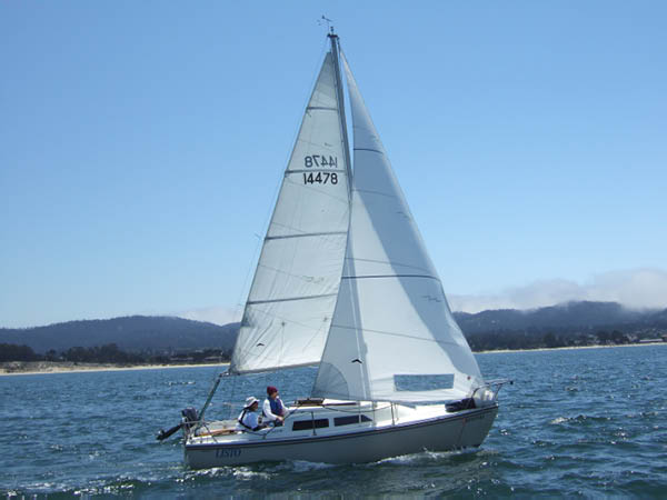 judy177