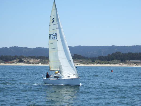judy239
