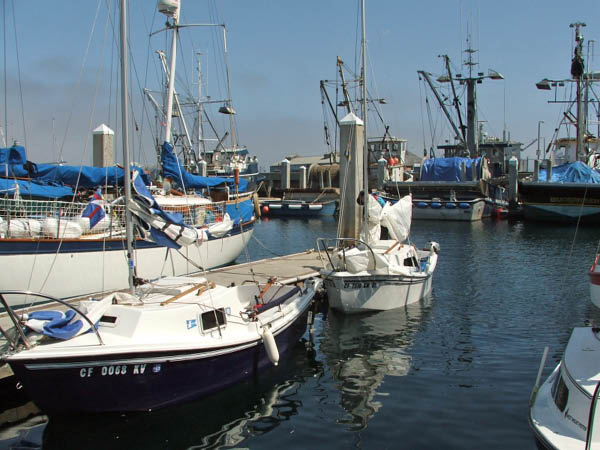 norrisdscf0089_edited-1