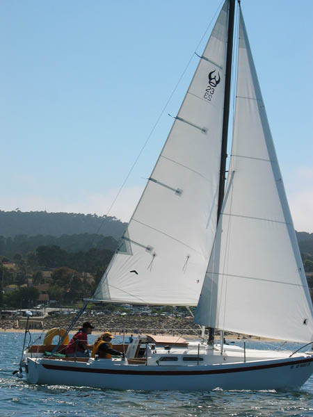 yfriedimg_5845