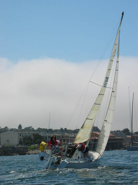 yfriedimg_5848
