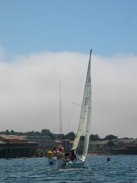 yfriedimg_5850