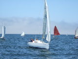 judy167