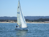 judy239