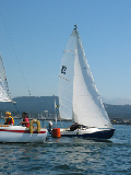 yfriedimg_5855
