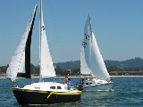 yfriedimg_5883