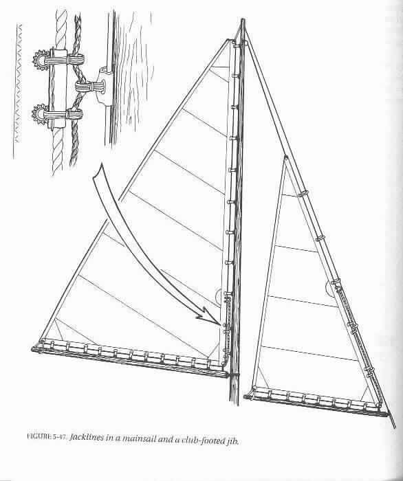 Sail Slugs
